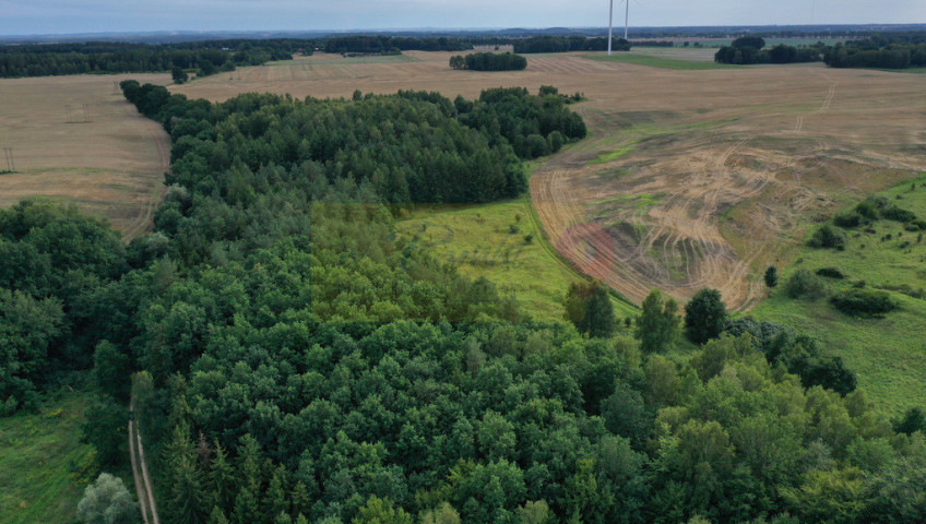 Działka Sprzedaż Prusinowo