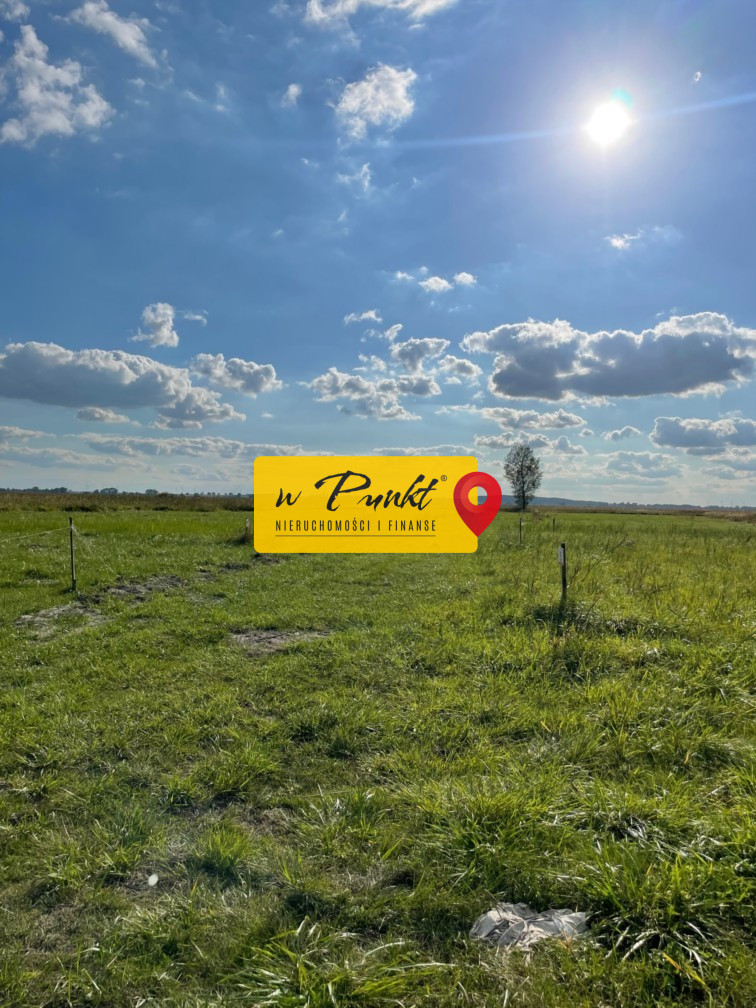 Działka Sprzedaż Wierzbno
