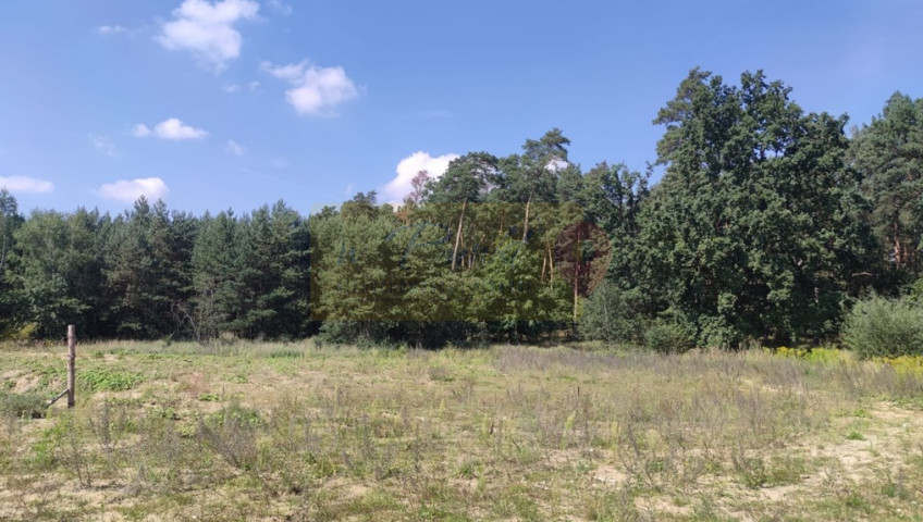 Działka Sprzedaż Kościno