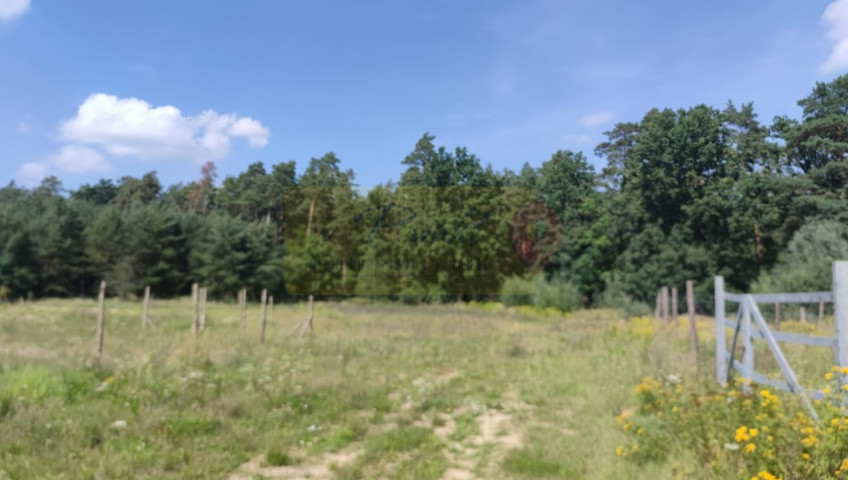 Działka Sprzedaż Kościno