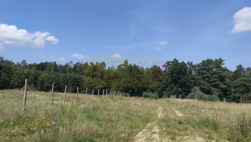 Działka Sprzedaż Kościno