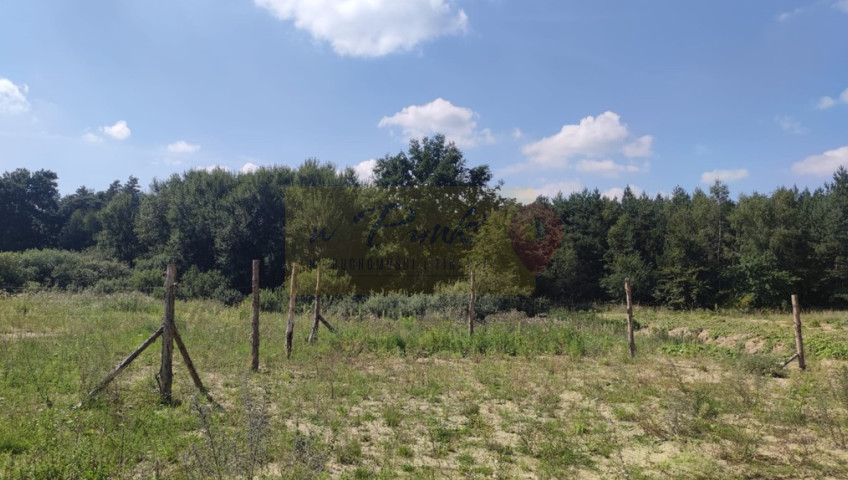Działka Sprzedaż Kościno