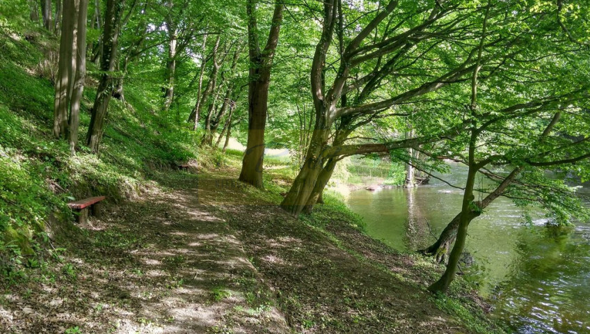 Działka Sprzedaż Barnimie