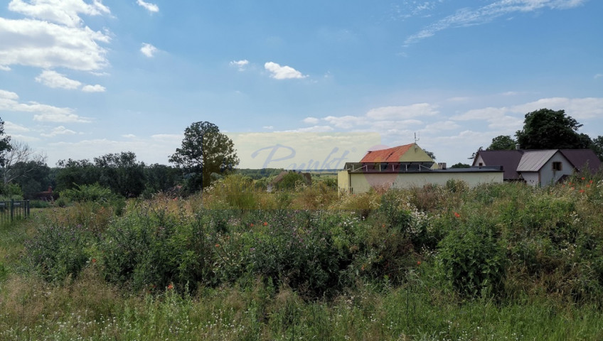 Działka Sprzedaż Skoszewo