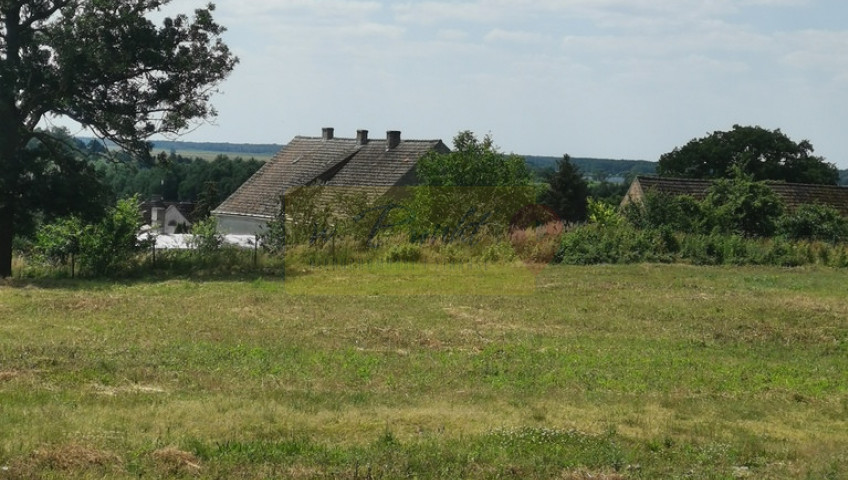 Działka Sprzedaż Skoszewo